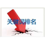 巨野网站关键词排名下降原因有哪些